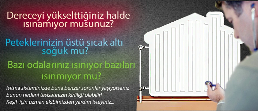 petek temizliği izmir